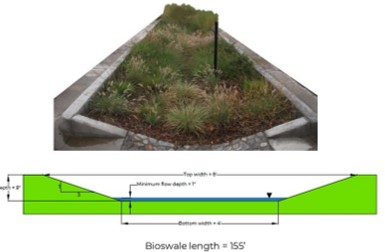 Bioswale